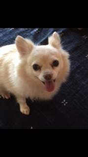 <span class="bold">一斗</span>